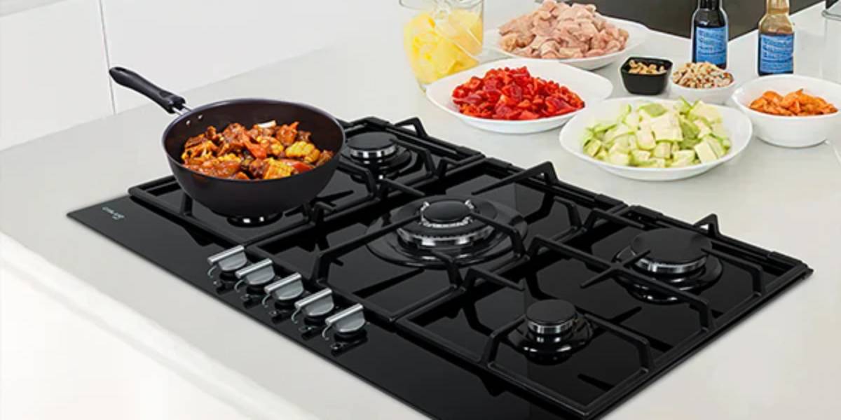 GASLAND-Kitchen & Outdoors Appliance-Culinary Magic: Crafting Perfect Roast Chicken