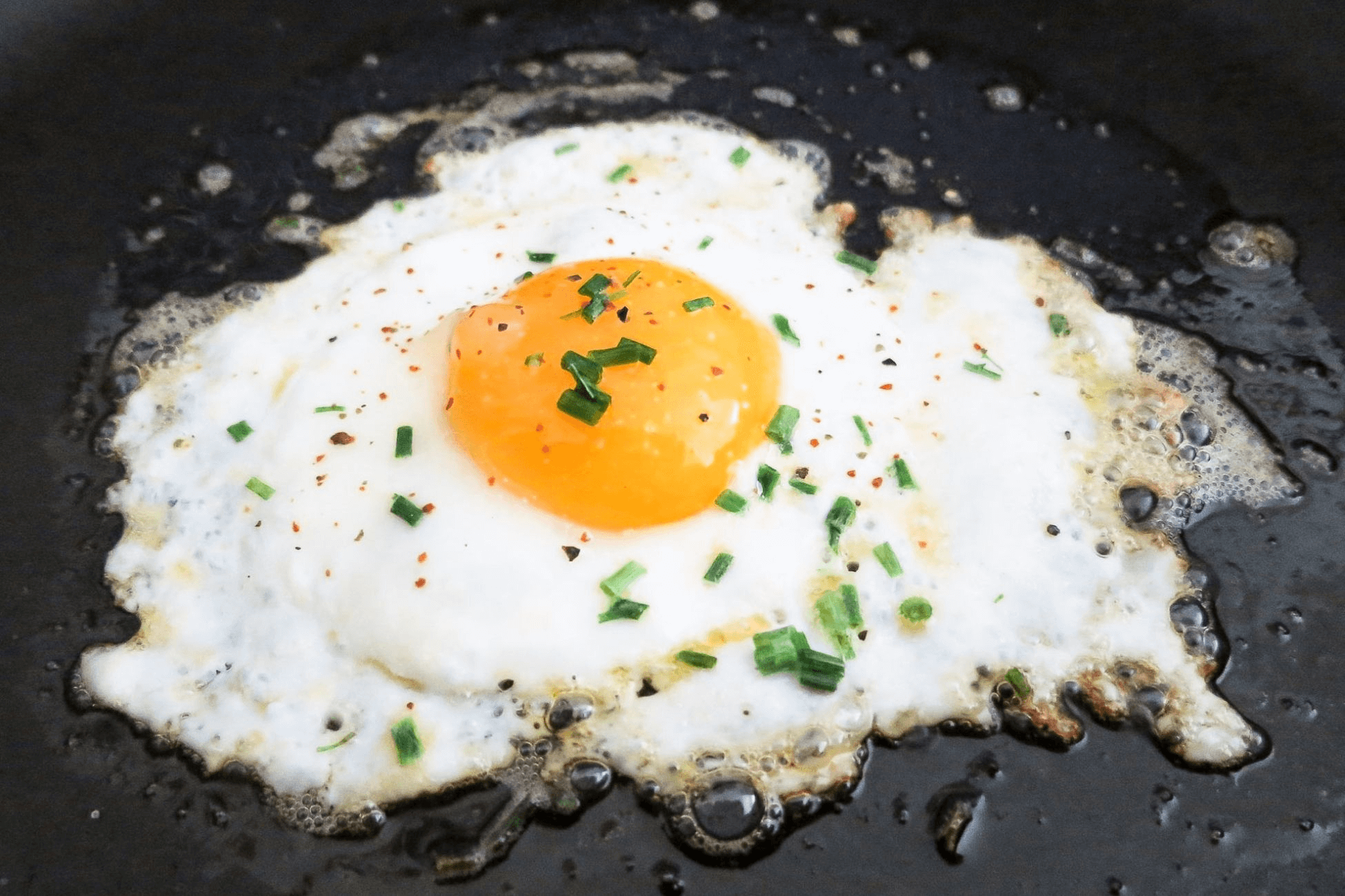 Kitchen & Outdoors Appliance-The Best Ways to Fry An Egg-GASLAND Chef